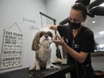 GROOMING