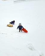 Brothers and sleds