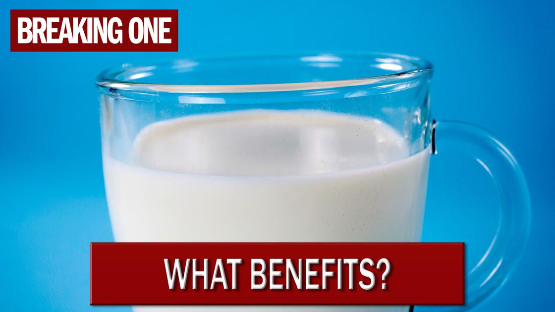 Is dairy milk good for you? Lifestyles