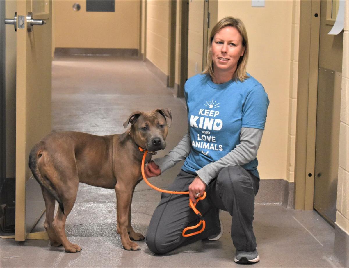 Humane Society Moves Into New Shelter Coronavirus Precludes Adoptions For Now Local News Journaltimes Com