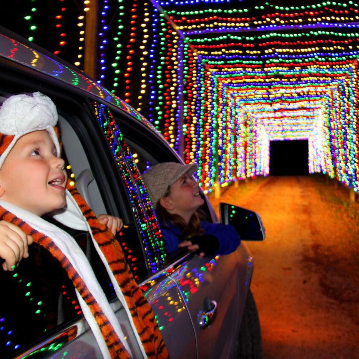 Jellystone Christmas Lights 2021 Christmas Carnival Of Lights Open At Jellystone Local News Journaltimes Com Jellystone Christmas Lights 2021 Christmas Carnival Of Lights Open At Jellystone Local News Journaltimes Com