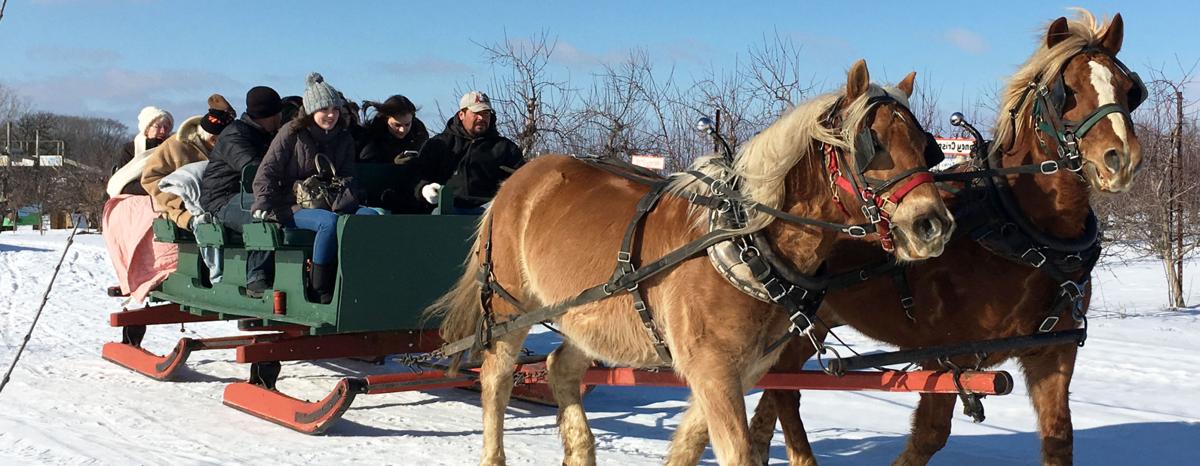 Sleigh ride photo