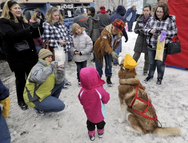 Sled Dogs Make Big Hit At Big Chill Downtown Local News