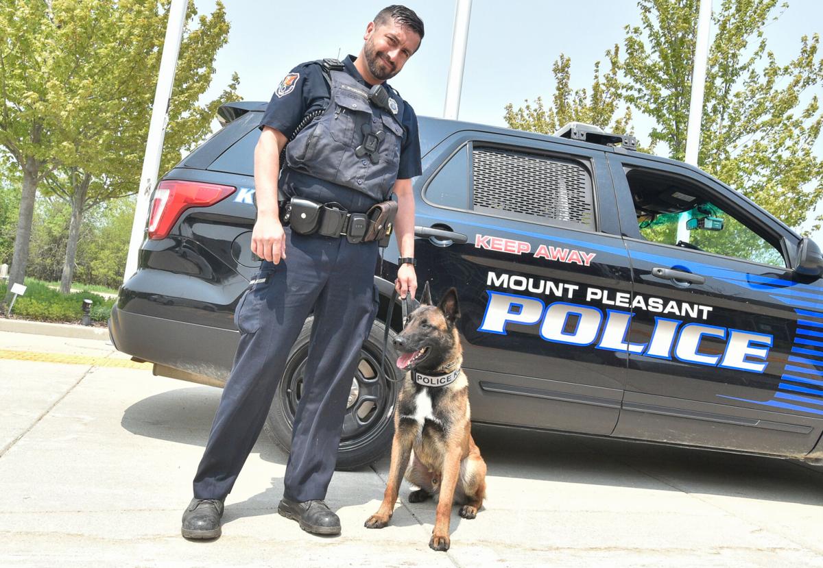Meet Aspen: Mount Pleasant's newest K-9 officer