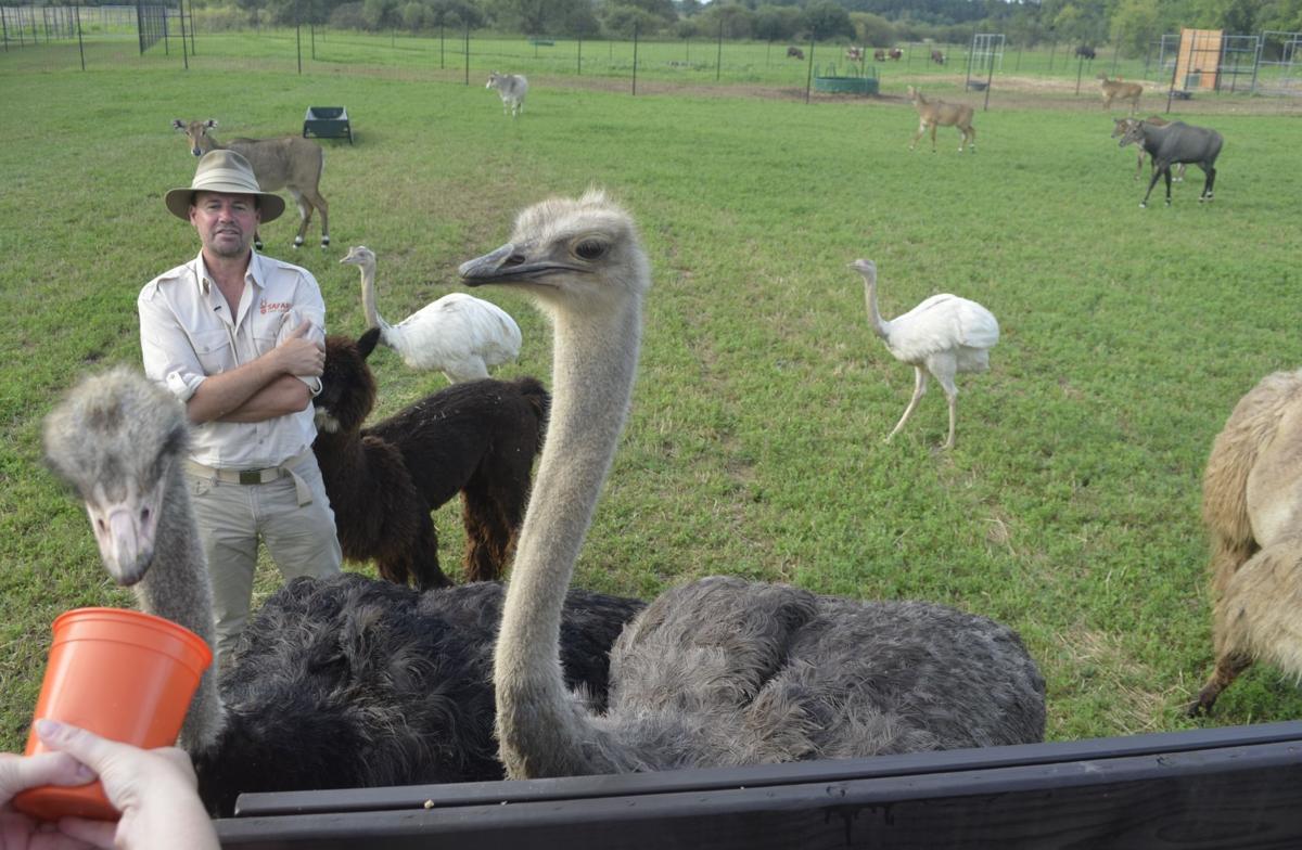 Safari Park Ready For Action This Weekend Local News Journaltimes
