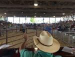 Livestock auction at Racine County Fair with auctioneer Gary Finley