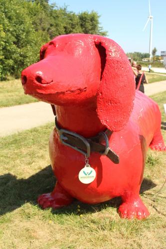 Big Red Dog Stainless Steel Water Bottle – Wisconsin Humane Society