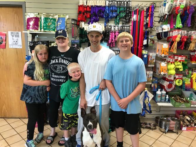 Hales Corners family adopts Rocky the abused puppy
