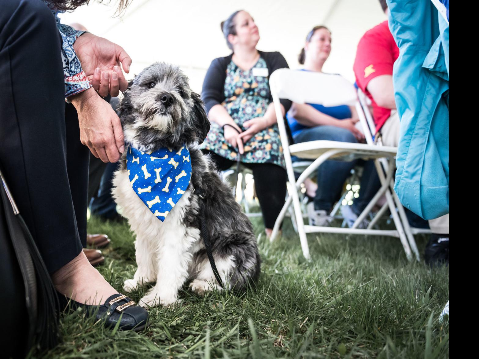 Wisconsin Humane Society Celebrates Future 5 9m Racine Campus Local News Journaltimes Com