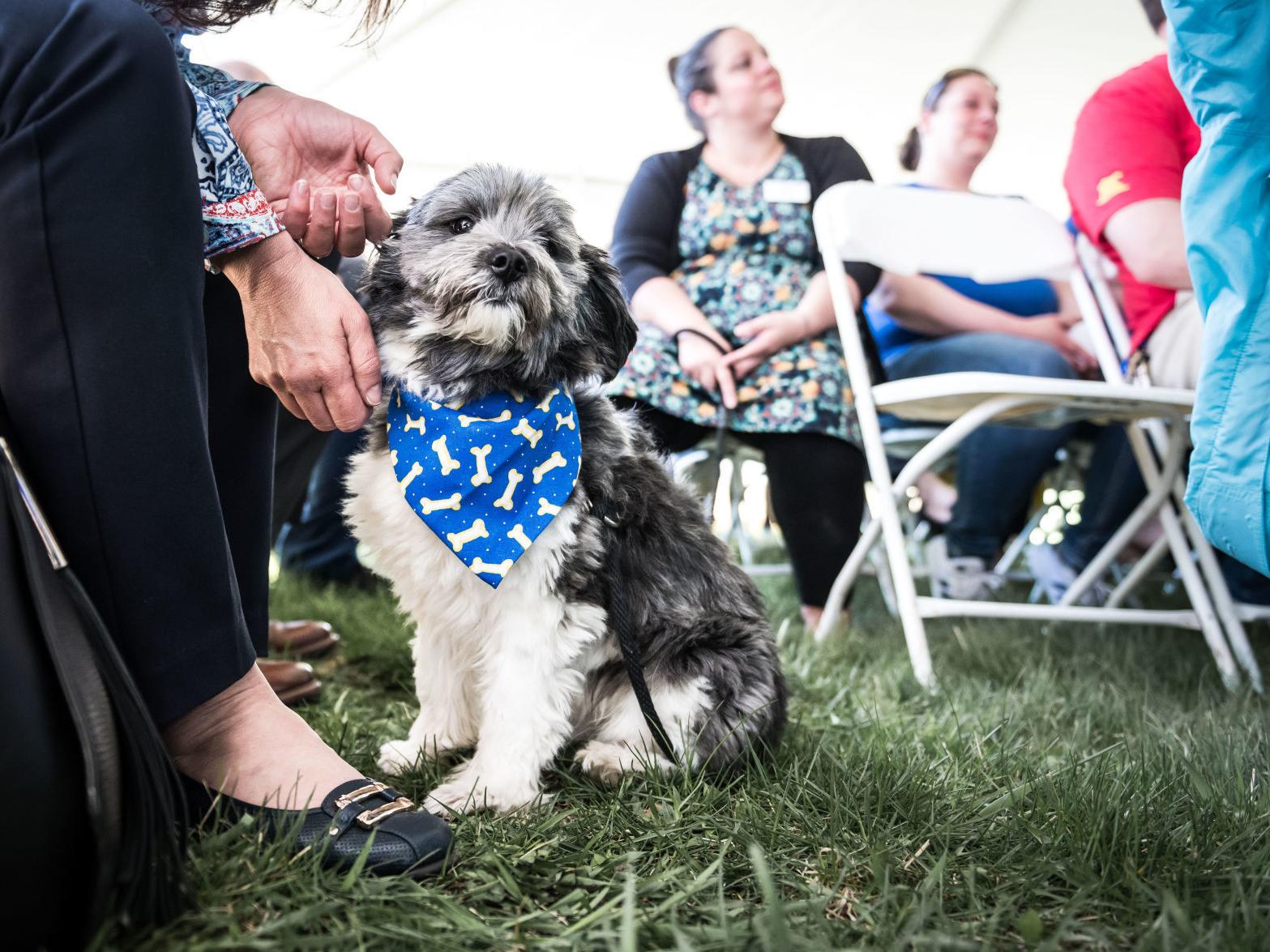 Wisconsin Humane Society Celebrates Future 5 9m Racine Campus Local News Journaltimes Com