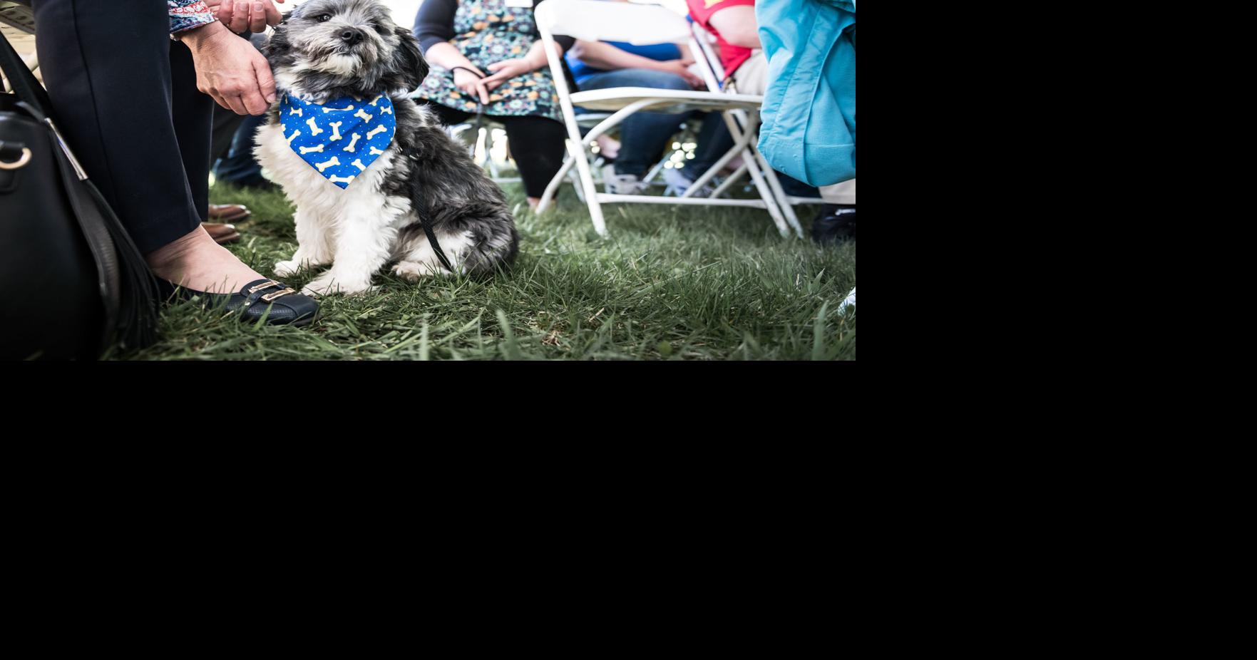 Wisconsin Humane Society celebrates future 5.9M Racine campus