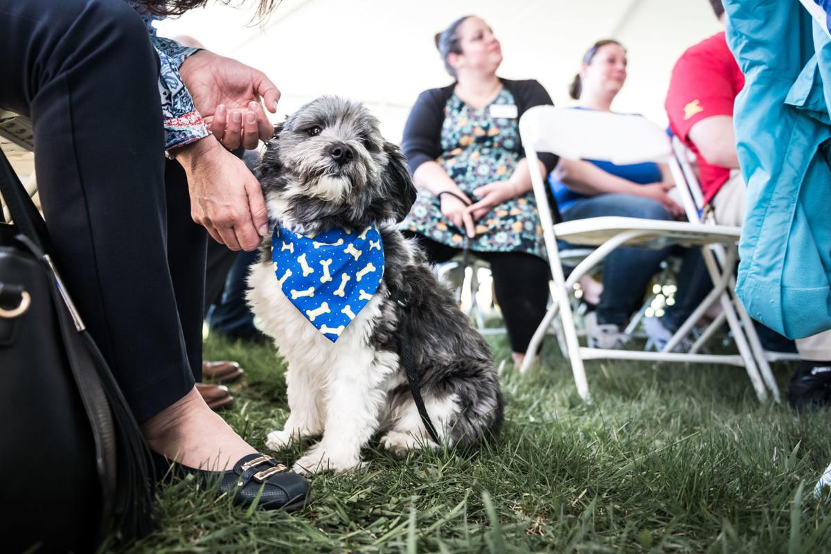 Wisconsin Humane Society Celebrates Future 5 9m Racine Campus Local News Journaltimes Com