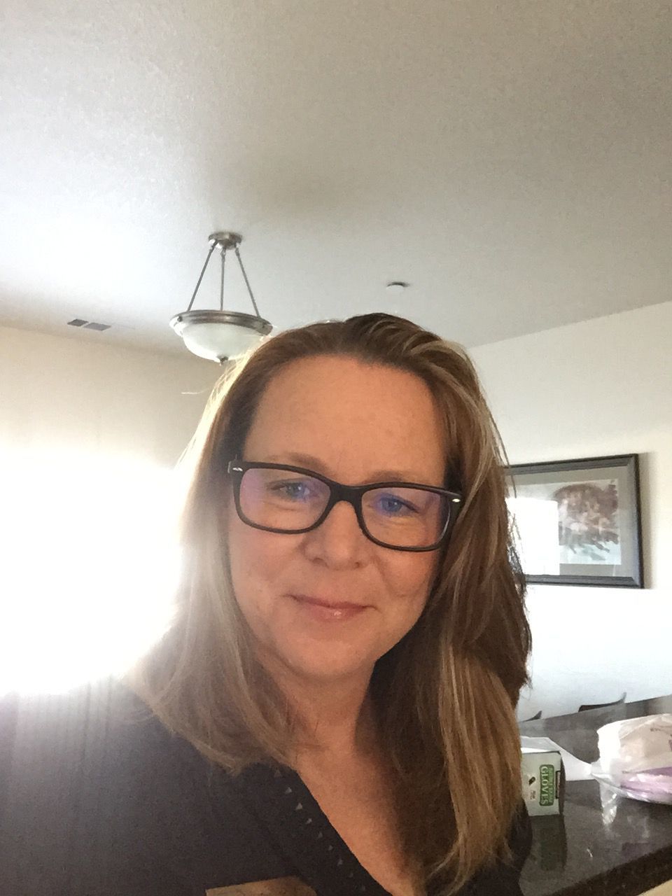 The Vampire Who Loved Me by Theresa Meyers The Vampire Who Loved Me by Theresa Meyers