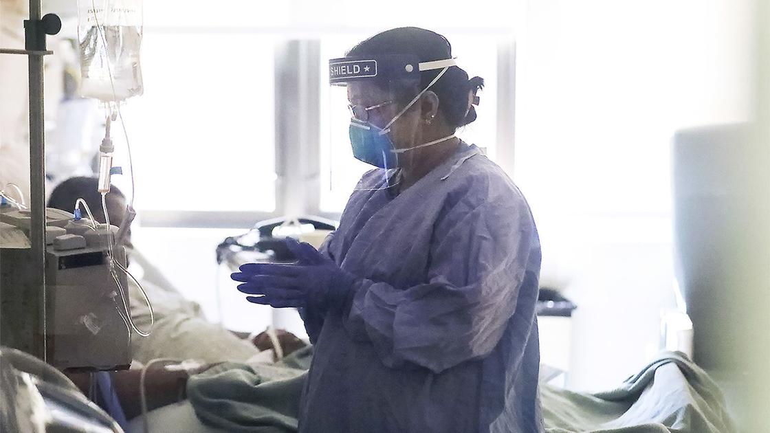 482 Visa processing time covid19 482 Visa processing time covid19