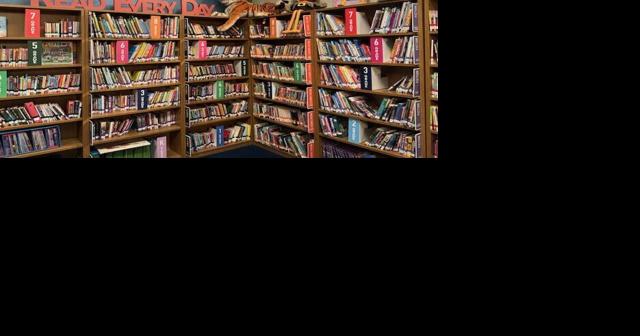 County Board votes 16-5 against adult-only library sections - Vimarsana News