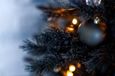 black christmas trees are