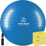 ProBody Pilates Exercise Ball