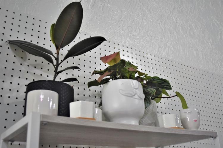 A place to get plants in Uptown