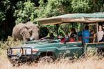 The luxury safari camp trying to move on from its colonial past
