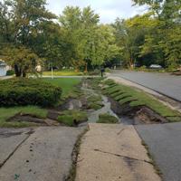 Cynthia Lane in Mount Pleasant