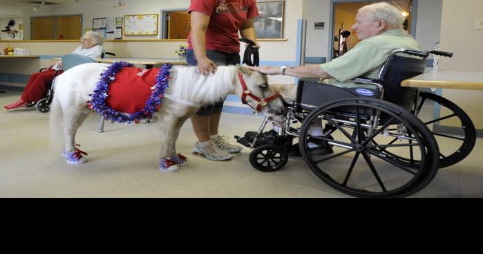 Miniature horse makes nursing home rounds