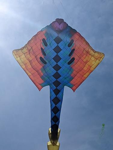 Outta Sight Kite Flight 2023 giant kite.jpg