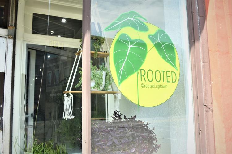 A place to get plants in Uptown