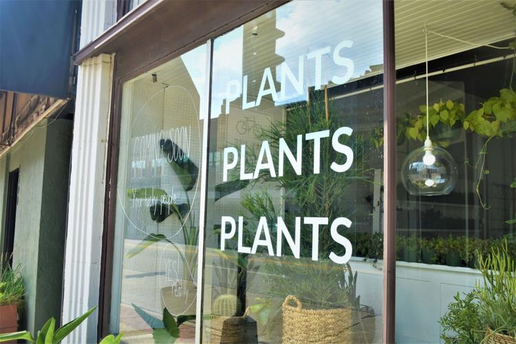 A place to get plants in Uptown