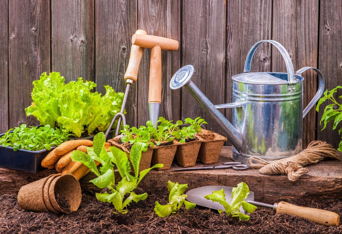 Community Newsletter: #39 Spring into Gardening #39 event is only a month