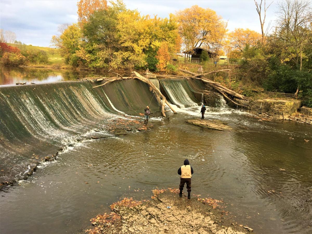 Salmon fishing on Root River downstream from Horlick Dam