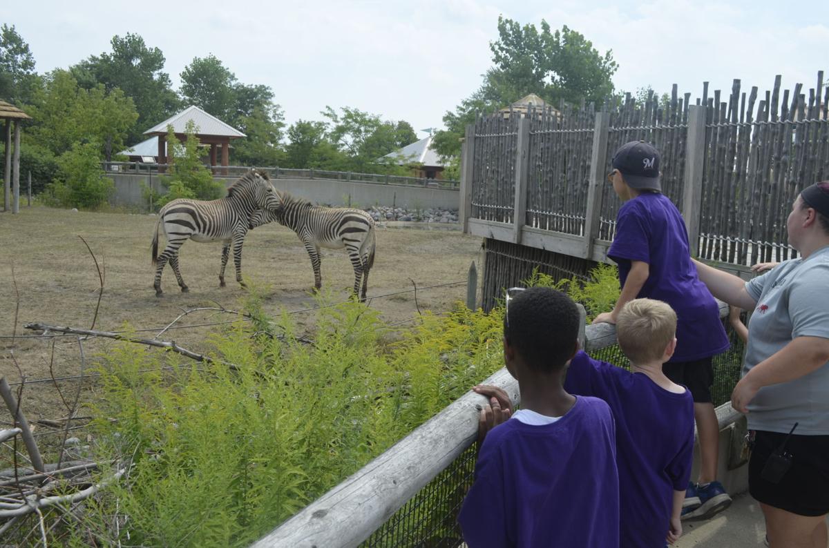 Racine Zoo launches new 'Zoo School' for homeschool families Local