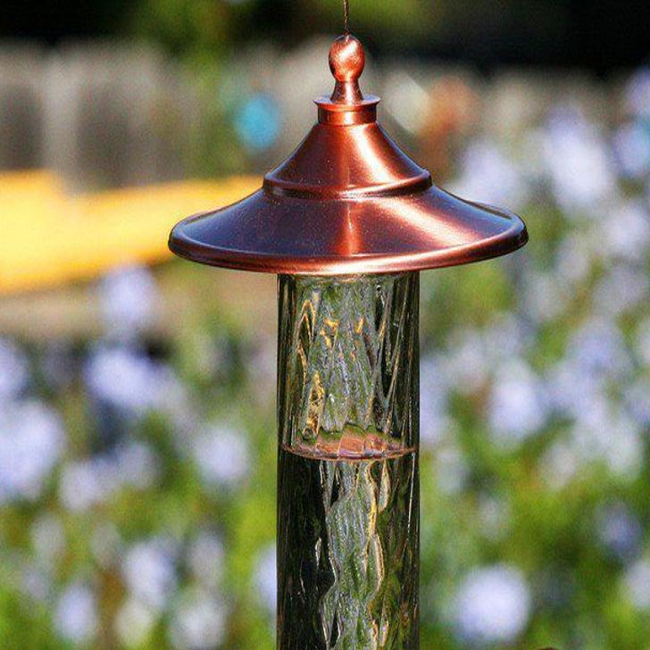 Our 3 Favorite Hummingbird Feeders For The Backyard Home And