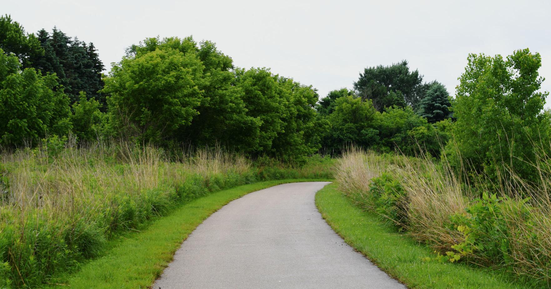 Controlled burn along Pike River Pathway to occur in spring - Vimarsana News