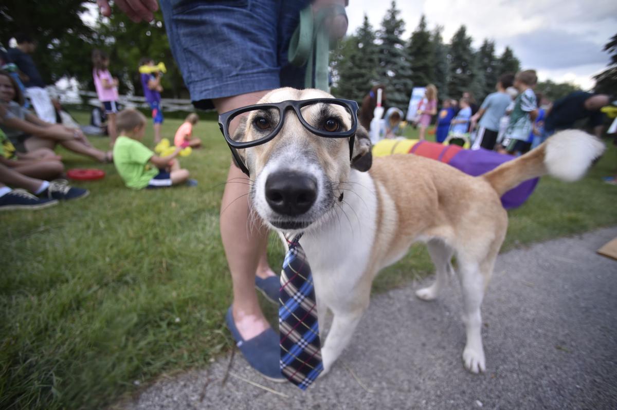 Wind Point Pet Parade