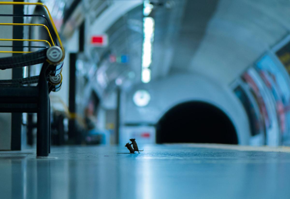 Station Squabble