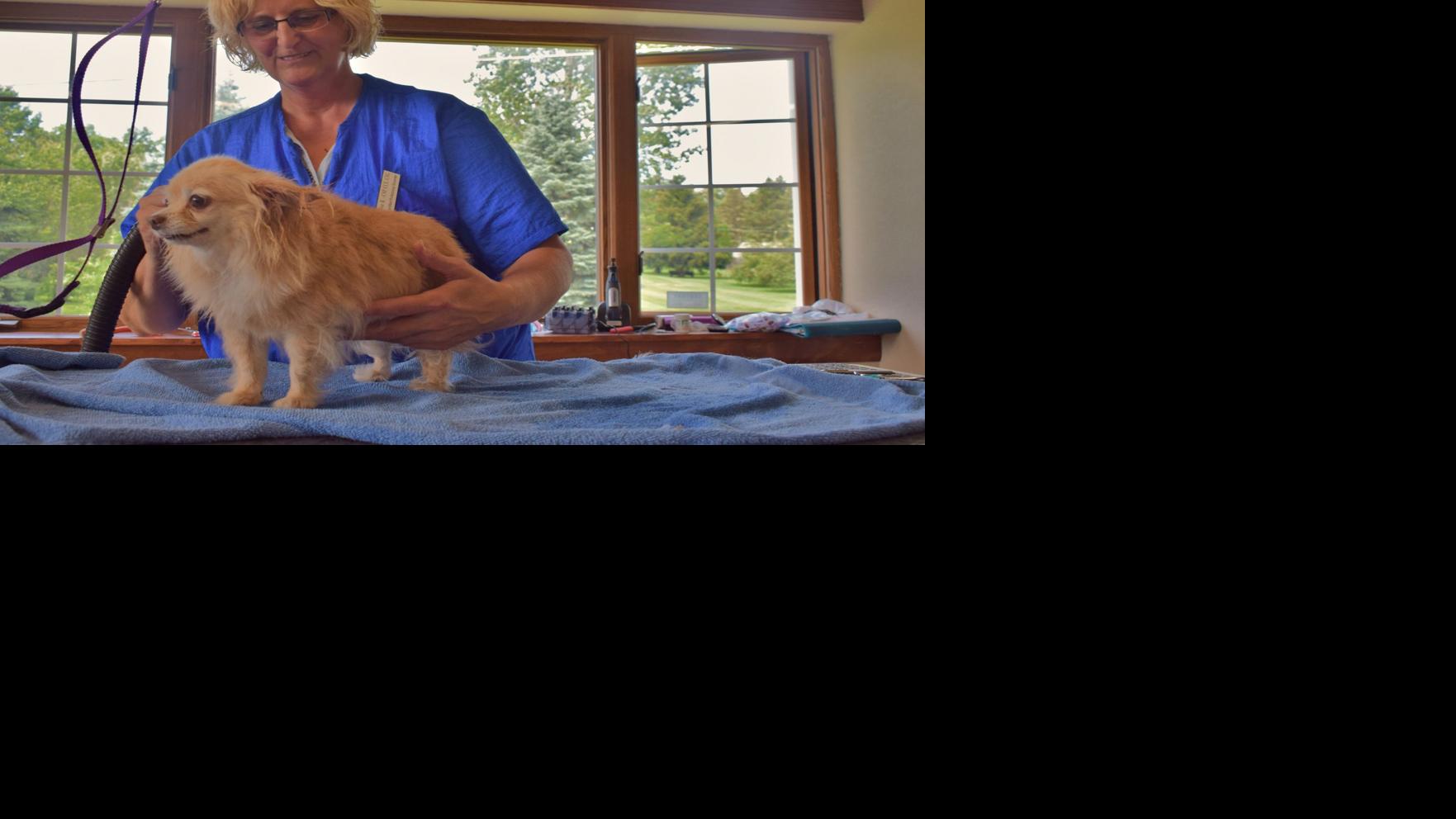 New dog grooming salon opens in former Lee&rsquo;s Flowers building | Money | journaltimes.com