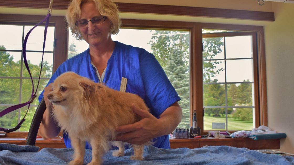 New dog grooming salon opens in former Lee’s Flowers building | Money | journaltimes.com New dog grooming salon opens in former Lee’s Flowers building | Money | journaltimes.com
