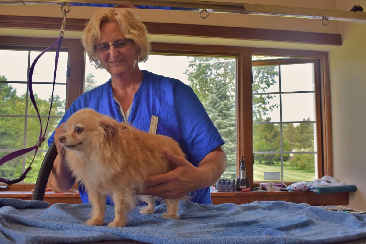 New dog grooming salon opens in former Lee&rsquo;s Flowers building | Money | journaltimes.com