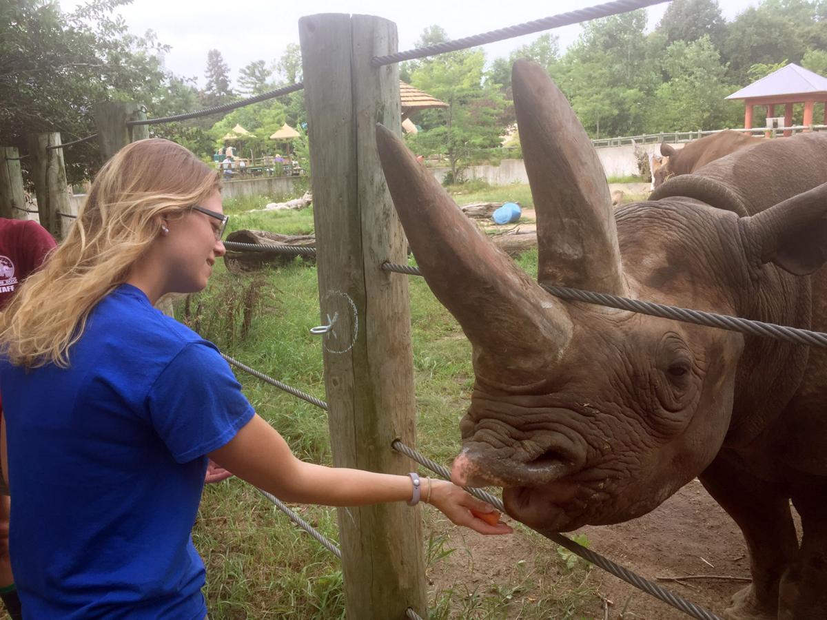 Racine Zoo launches new behind the scenes experiences