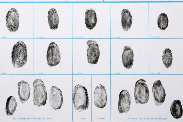 Curious Kids: How do we get our unique fingerprints? | News ...