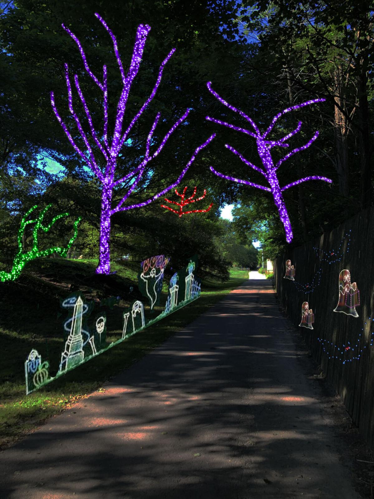 Zoo To Host Halloween Glow Lighted Drive Through Event Local News Journaltimes Com