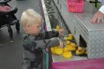 Levi collects ducks