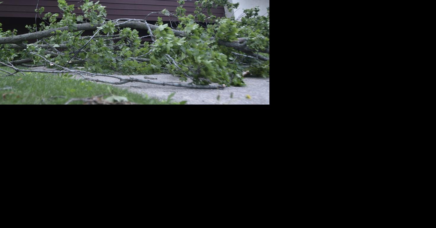 Storm damage in photos and video across Racine and Kenosha counties