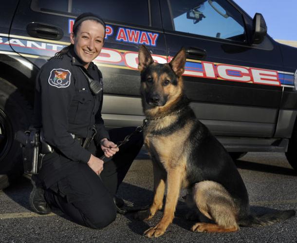 Sheriff, Mount Pleasant police new K9 officers