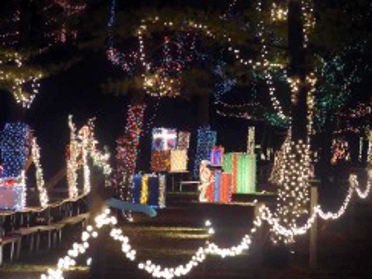 1 Million Lights Illuminate Jellystone Christmas Display Local News Journaltimes Com