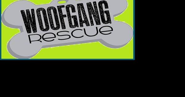 Woof Gang Rescue to host Mount Pleasant event Nov. 11 - Vimarsana News