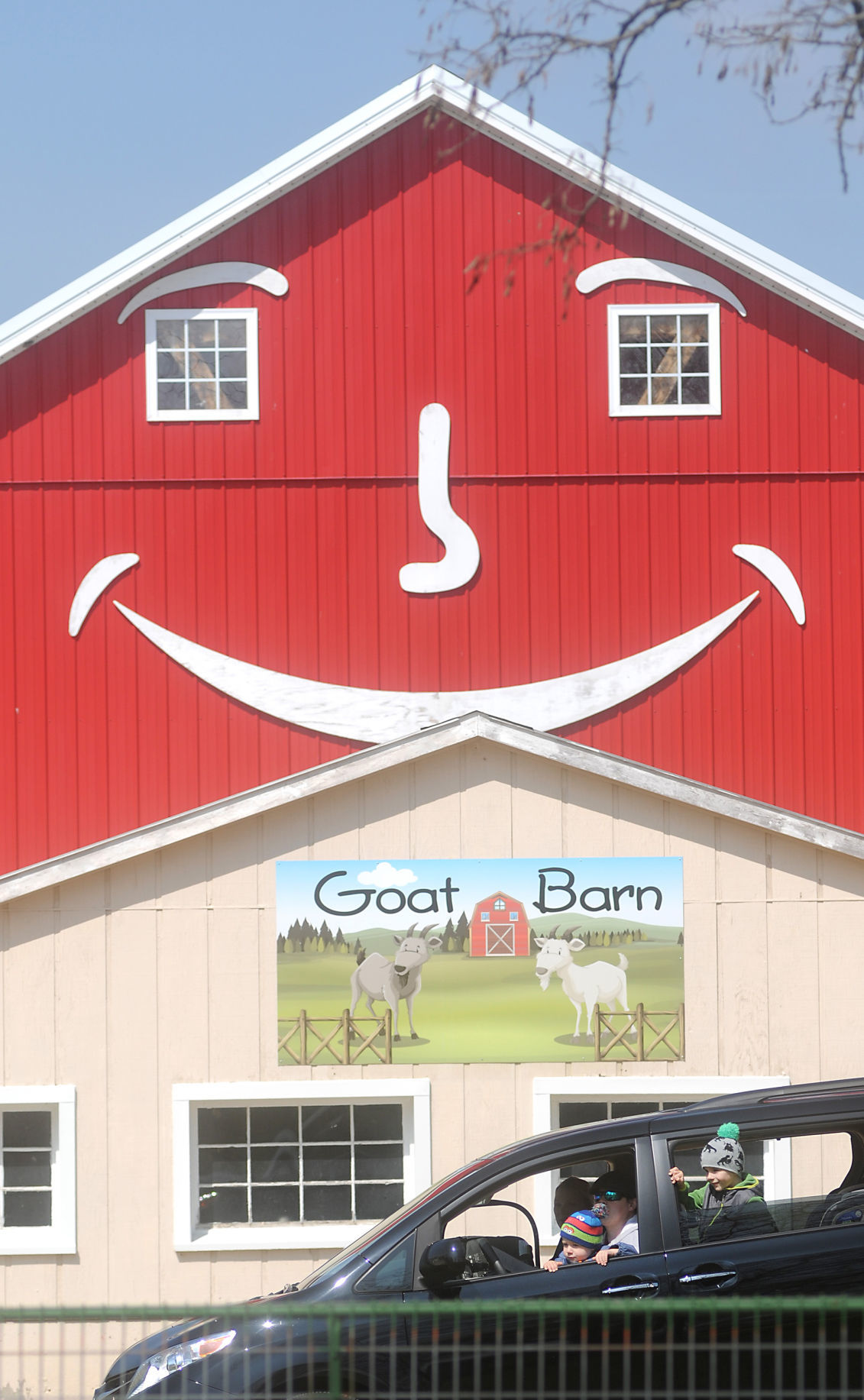 Out on the Town Green Meadows Farm driveThru experience Local News