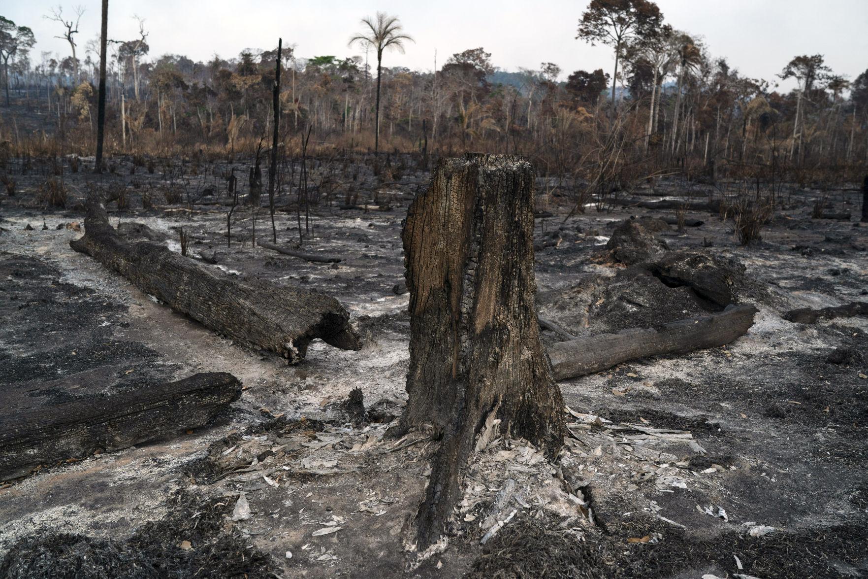 Photos See the devastation of Amazon rainforest fires still burning