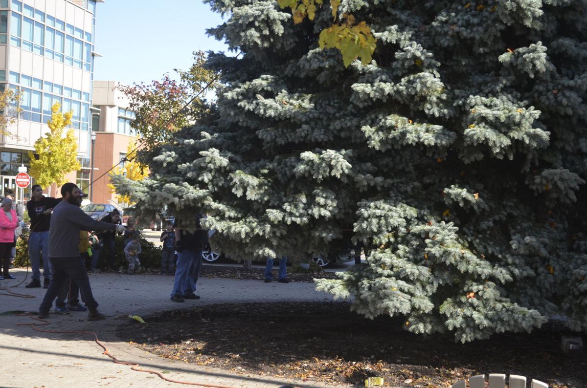 downtown racine christmas tree arrives local news chicago downtown christmas parade