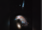 A Cosmic Penguin (2013)